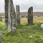 Photo taken by Danielle P