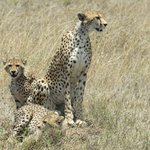 Photo taken by Kristin M