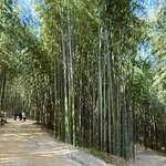 Photo taken by Annie A