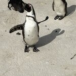 Photo taken by Paul B