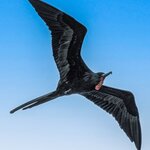 Photo taken by mindy n