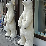 Photo taken by Michael M