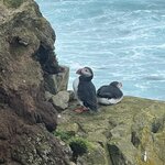 Photo taken by Tom B