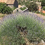 The hike | Photo taken by Jennifer F