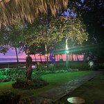 Photo taken by Victoria C