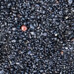 Photo taken by Jane V