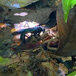 Photo taken by Donna G