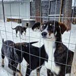 Photo taken by Caitlin P