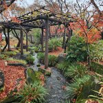 Photo taken by Zulhelmi R