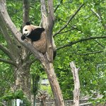 Photo taken by Vitaliy V