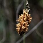 Photo taken by Ashwal P