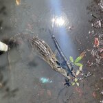 Photo taken by Jacqueline R