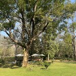 Photo taken by Kristen M