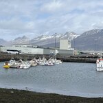 Photo taken by Tom B