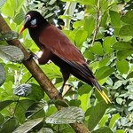 Photo taken by Mark S