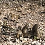 Photo taken by Janie W