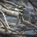 Photo taken by Graham D