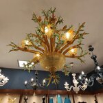 Photo taken by Jessica H