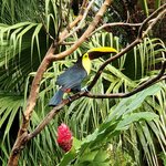 Photo taken by Garritt V