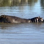 Photo taken by Crystall P