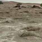 Photo taken by Nigel R