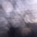 Photo taken by Nancy B