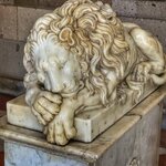 Photo taken by Cary W