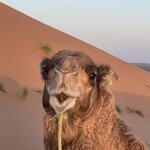 Photo taken by Beverly R