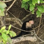 Photo taken by Kiko S