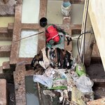 Photo taken by Logan J