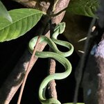 Photo taken by Edit M