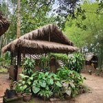 Photo taken by Sevi Y