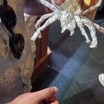 Photo taken by Ayesha A