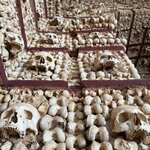 Photo taken by Mindy H