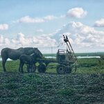 Photo taken by Jon and Darlene G