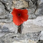 Photo taken by Rosina B