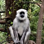 Photo taken by Melanie H