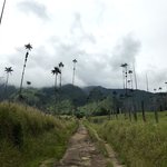 Photo taken by Sophie E