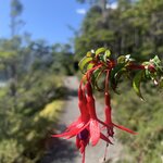 Photo taken by SANDRA V