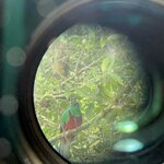 Photo taken by Jaya C