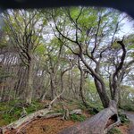 Photo taken by Janine N