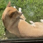 Photo taken by Tamara C