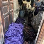 Photo taken by Dorothy Paz L