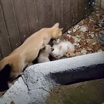 Photo taken by Patricia K