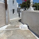 Photo taken by Braedon G