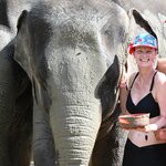 Photo taken by Nicole T