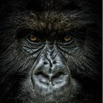 Photo taken by James "Frank" J