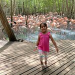 Photo taken by Sangini S