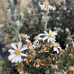 Photo taken by Vicki Lynn M