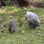 Photo taken by Ben B